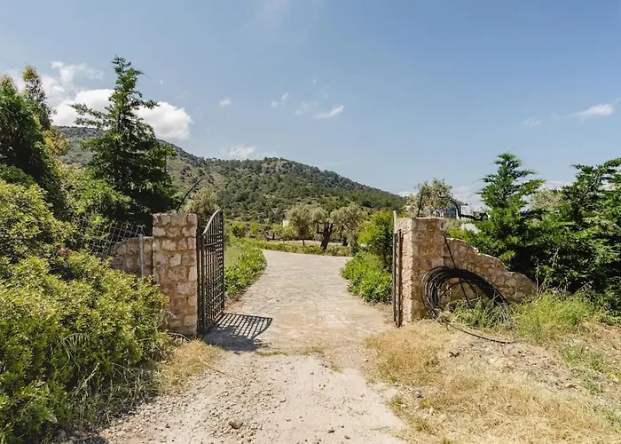 Olivos V.i.p Poolvilla Kritinia Вилла *