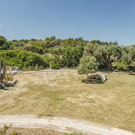 Olivos V.i.p Poolvilla Kritinia *